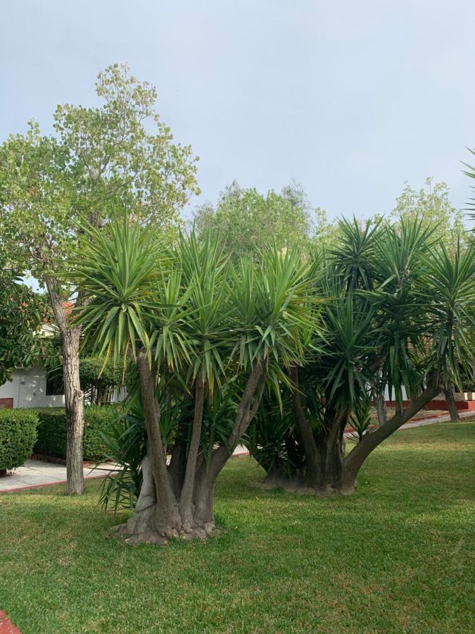 Alykes Park Bungalows Bagian luar foto